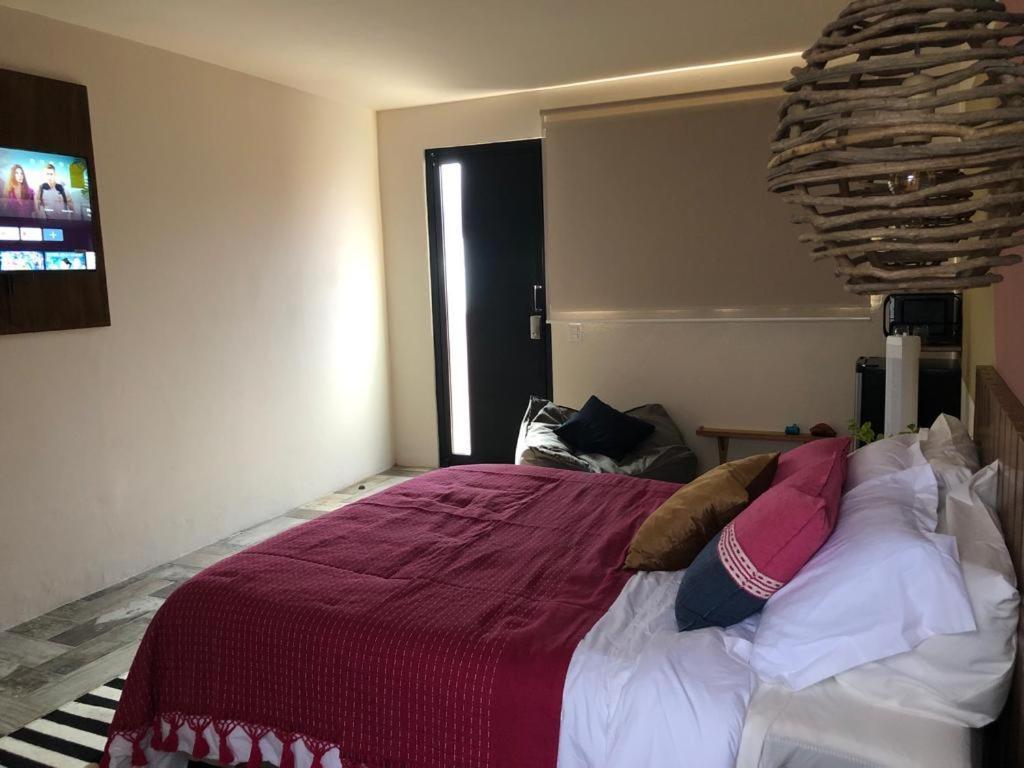Casa Cronica Lejlighed Oaxaca Eksteriør billede